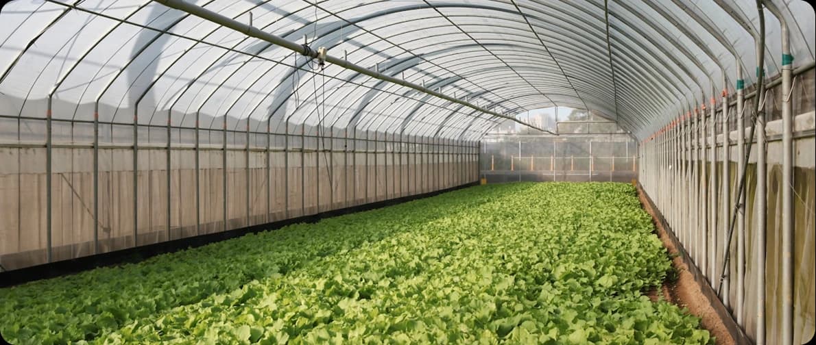 CO₂ in metal welding and precision manufacturing